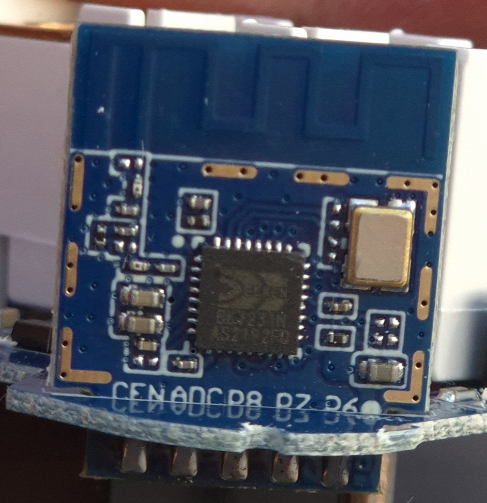closeup_chip